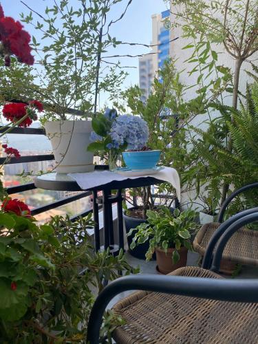 Apartamento �gray�