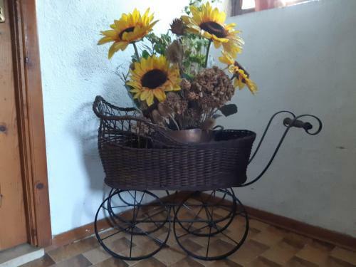 Agroturismo Da Nonno Luciano!