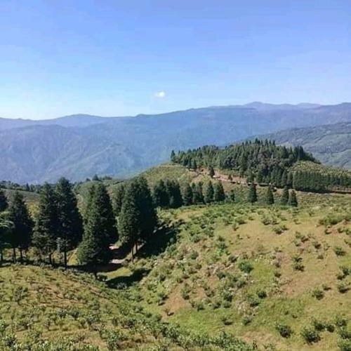 Apartamento Athithi Devo Bhavo Homestay