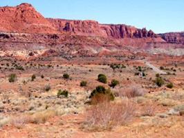 Hotel Best Western Capitol Reef