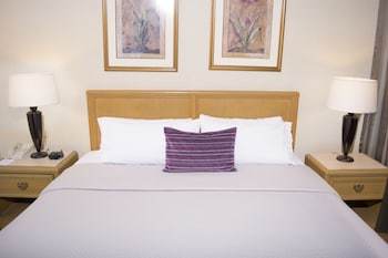 Hotel Holiday Inn Express Ciudad Victoria