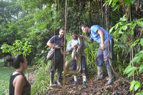 Albergue Amazon Exploring Expedition - Eretzen T� Lodge