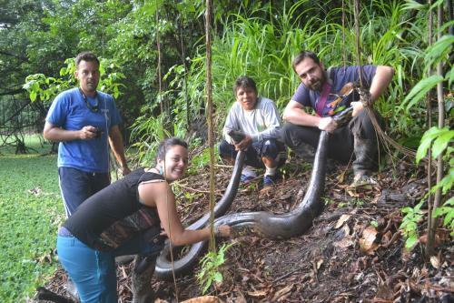 Albergue Amazon Exploring Expedition - Eretzen T� Lodge