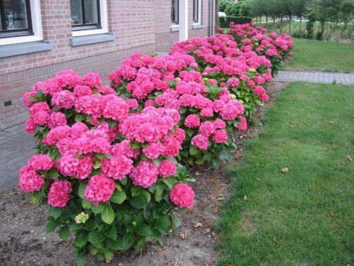 B&B Oostzomerland