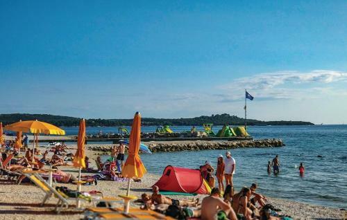 Apartman Amfiteatar