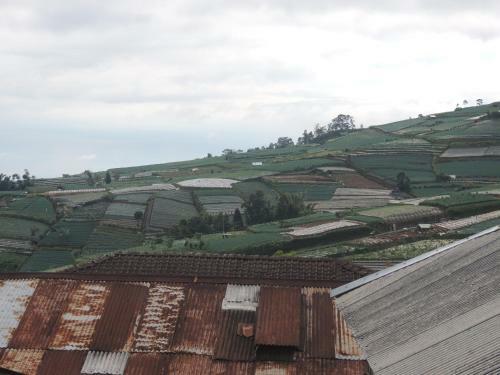 Hotel Semilir Glamping