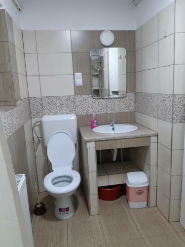 Hostal Pensiunea Muresan