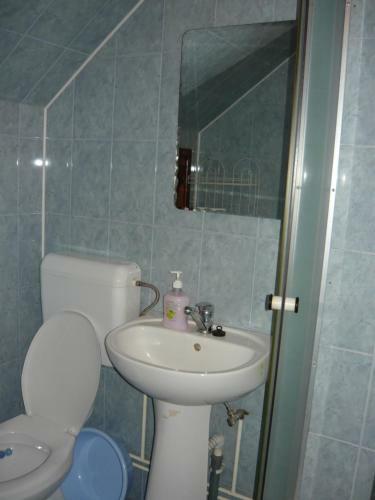 Hostal Pensiunea Muresan