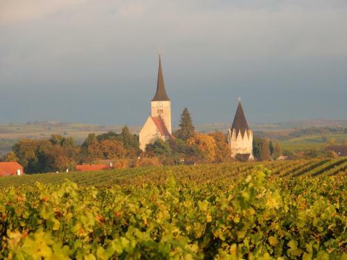 Hostal Pension Rudi - Weingut Kellner