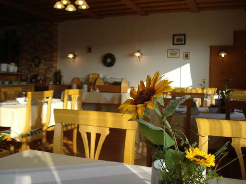 Hostal Pension Rudi - Weingut Kellner