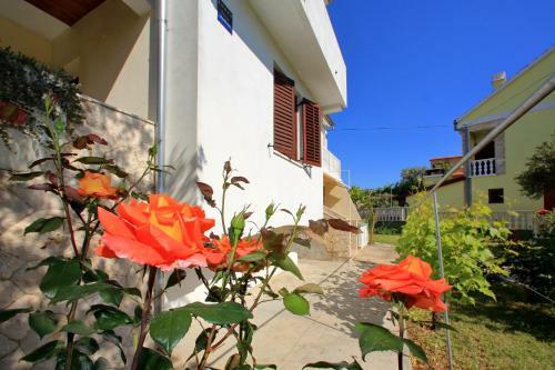 Apartments Vala