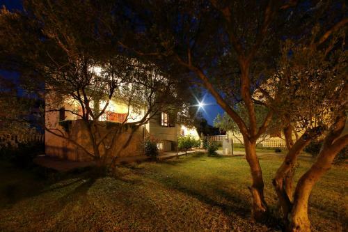 Apartments Vala