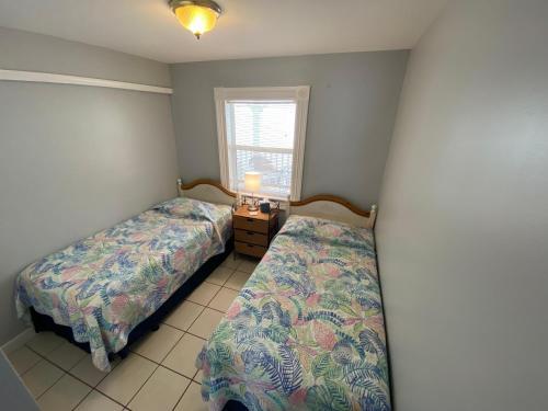 258 Primo Drive