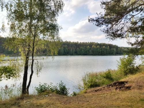 Mazurska Sielanka Na Wiartlu