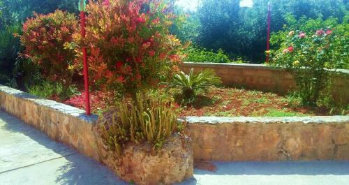 Villa Relax