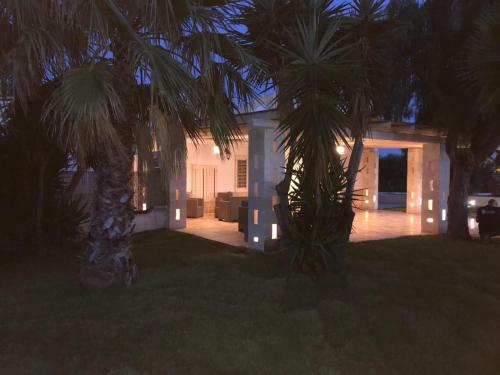 Tropical Palm Villa