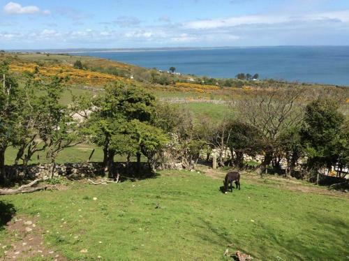 Stunning Views At Ballagh Cottage Newcastle
