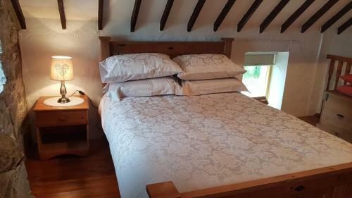 Stunning Views At Ballagh Cottage Newcastle