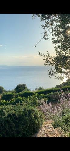 Bed & Breakfast Stella D'argento