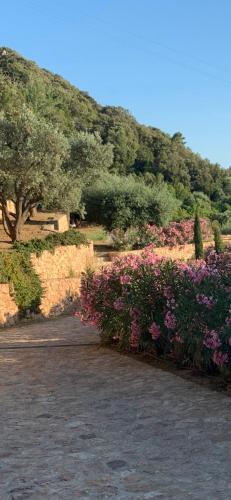 Bed & Breakfast Stella D'argento