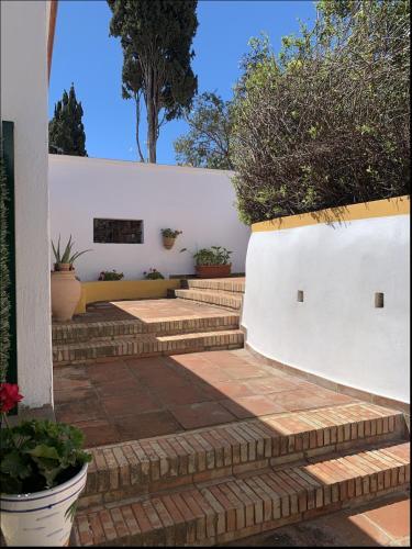 Apartamento Novedad Suite C�ntrico Con Porche Y Jard�n