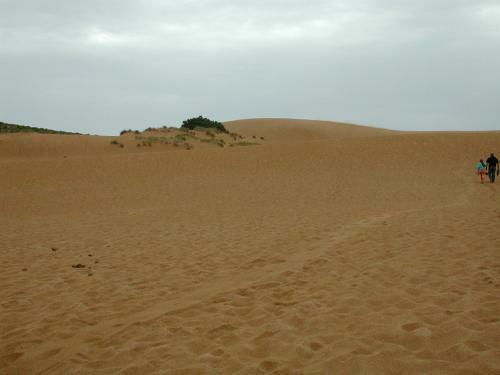 Colombo's House