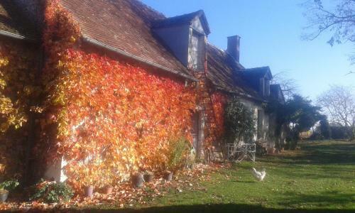 Hostal La Vigneraie