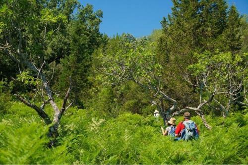 Shkolla Hostel & Camping