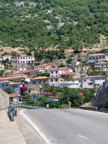 Shkolla Hostel & Camping