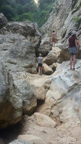 Shkolla Hostel & Camping
