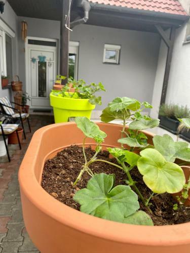 Apartamento Ubytov�n� U Mike?a
