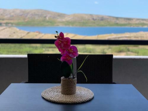 Apartamento Nelany