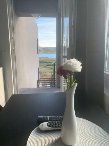 Apartamento Nelany