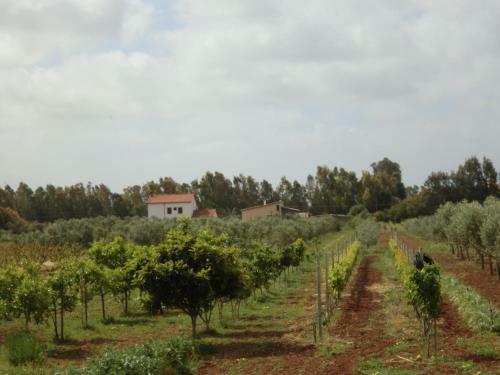 Agroturismo Casa Le Ginestre