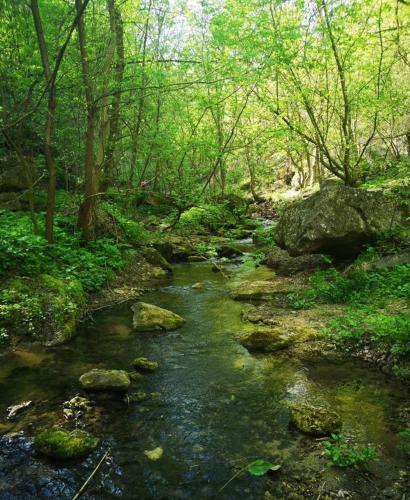 Agroturismo C?su?a De L�ng? Lac
