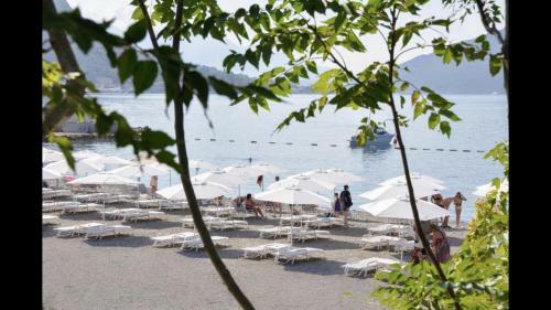 Apartmani Laban