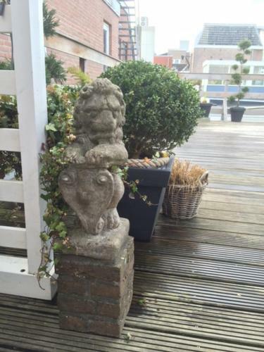Roofterrace Apartment