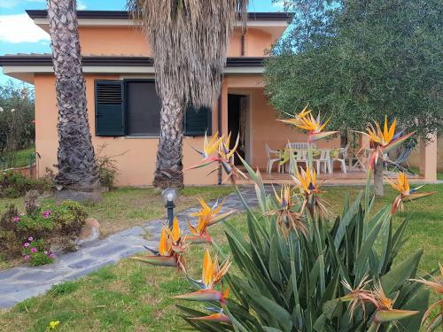Villa Per Le Vacanze Le Palme