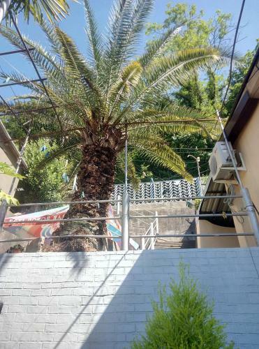 Hostal Guest House Emida