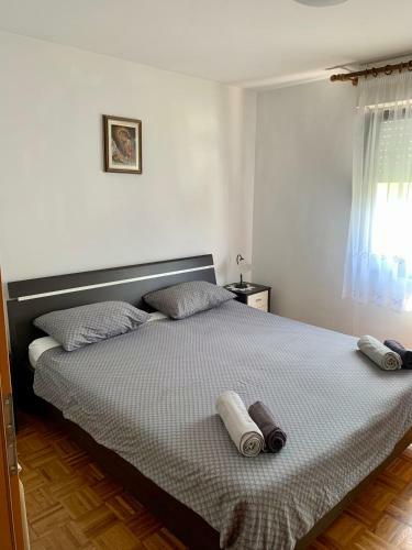 Apartma Panorama