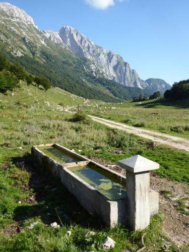 Apartma Panorama