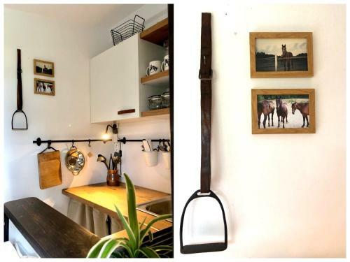 Apartament Lajkonik