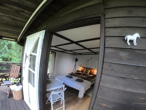 Apartament Lajkonik