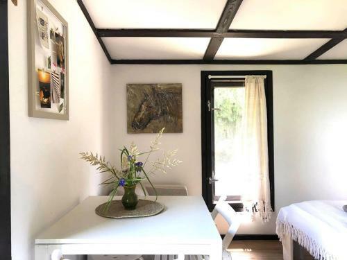 Apartament Lajkonik