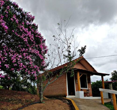 Pousada E Camping P� Na Trilha