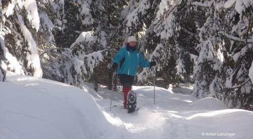 Hostal G�stehaus Lanzinger