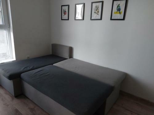 Apartamento Breezy Studio 5
