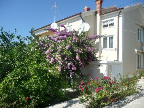 Apartment In Rab/insel Rab 16488