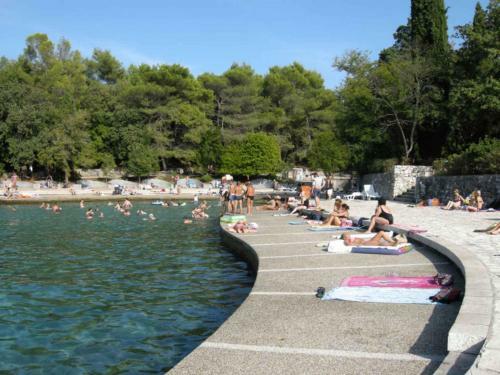 Apartment In Bogovici Insel Krk 36063