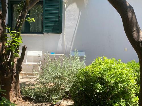 Garden House